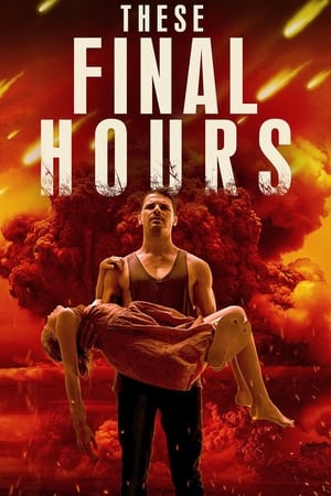 Final Hours