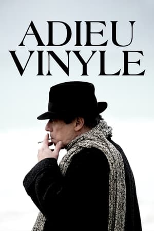 Adieu Vinyle