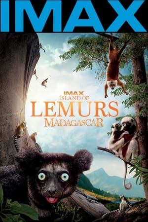 Madagascar Lle Des Lmuriens