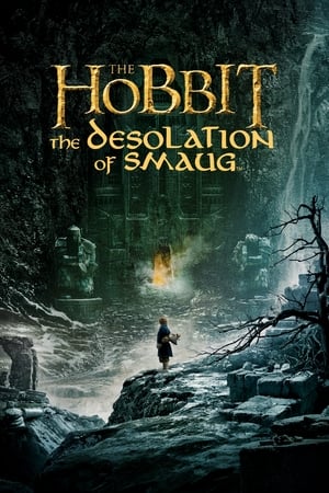 Le Hobbit La Dsolation De Smaug