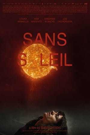 Sans Soleil