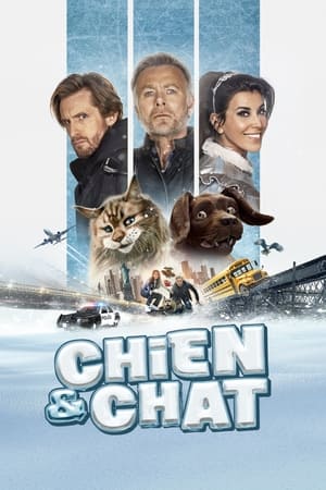 Chien Et Chat