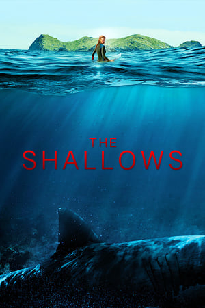 Instinct De Survie The Shallows