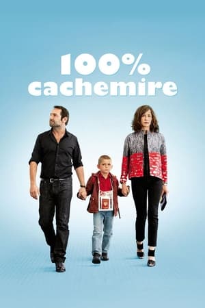 100 Cachemire