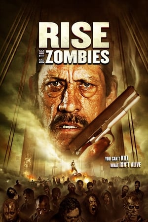 Rise Of The Zombies